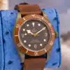 2018 Tudor Heritage Black Bay 79250BM Brown dial Bronze 43mm — Palazzo Watches & Gems