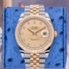 2022 Rolex Datejust 41 126333 Gold dial GoldAndSteel 41mm — Palazzo Watches & Gems